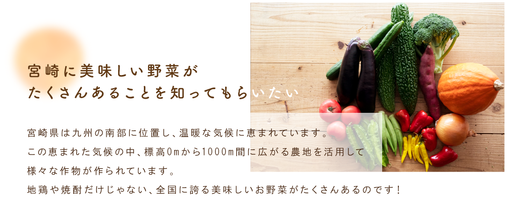 宮崎に美味しい野菜がたくさんあることを知ってもらいたい