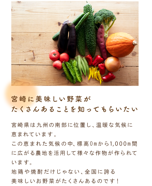 宮崎に美味しい野菜がたくさんあることを知ってもらいたい